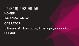 8162929956